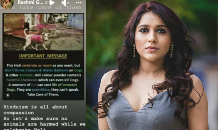 Telugu Anchor Rashmi, Animlas, Holi Colors, Holi Festival, Pets Lover, Rashmi, R