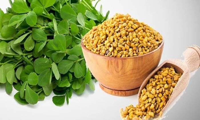 Telugu Sugar Levels, Fenugreek Seeds, Problems, Tips, Menthi-Telugu Health