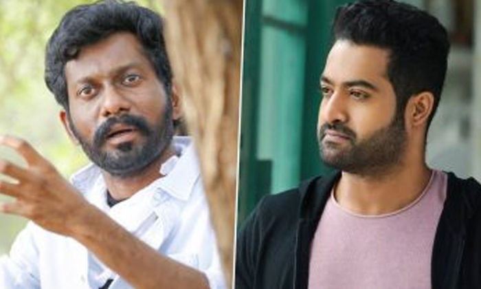  Uppena Director Shocking Comments About Young Tiger Ntr Details Here , Buchibabu-TeluguStop.com