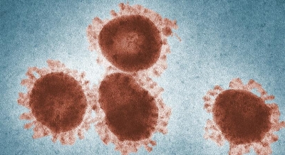 Cancer Drugs Might Be Able To Target Tuberculosis Cancer Drugs Might Be Able To Target Tuberculosis-TeluguStop.com