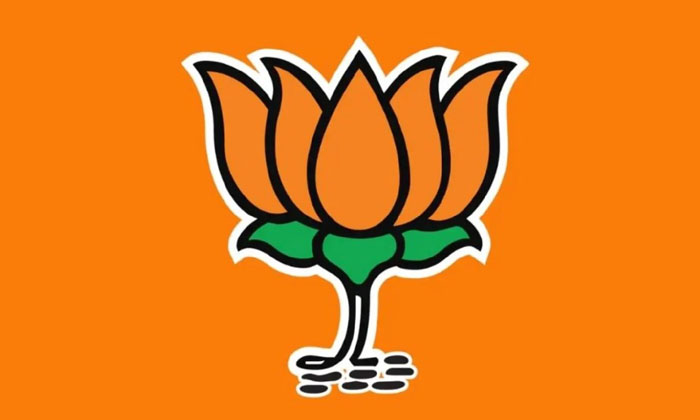 The Bjp Has Decided To Increase The Priority Of Pawan Kalyan The Bjp Has Decided To Increase The Priority Of Pawan Kalyan-TeluguStop.com