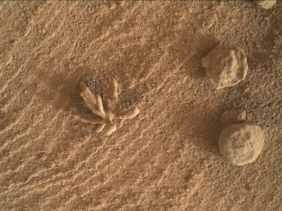  Curiosity Rover Images Tiny 'mineral Flower' On Mars-TeluguStop.com