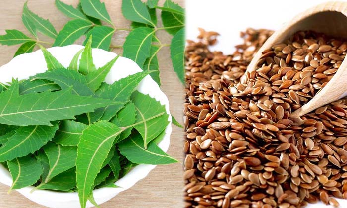  Eating These On An Empty Stomach Does Not Cause Any Hair Loss , Foods , Latest-TeluguStop.com