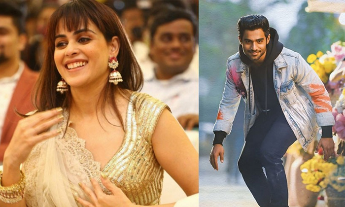  Genelia Huge Remuneration For Movie With Kireeti Reddy Details, Genelia, Tollyw-TeluguStop.com