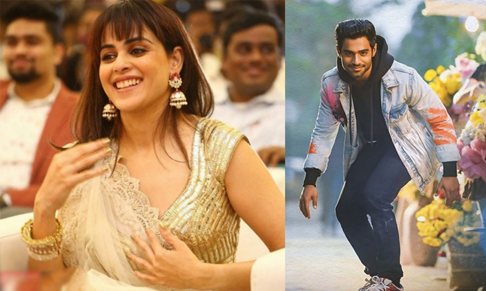  Genelia Ready For South Entry With That Movie Announcement Soon Details, Geneli-TeluguStop.com