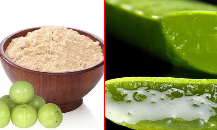  Homemade-mask-for-thick-hair, Hair , Hiar Health , Hair Mask , Sesame Oil , Aloe-TeluguStop.com