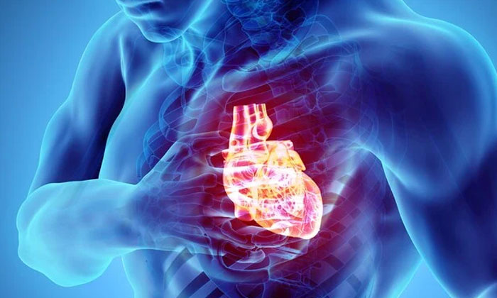 Telugu Cardiac, Heart, Heart Attack, Nstemi, Stemi-Latest News - Telugu