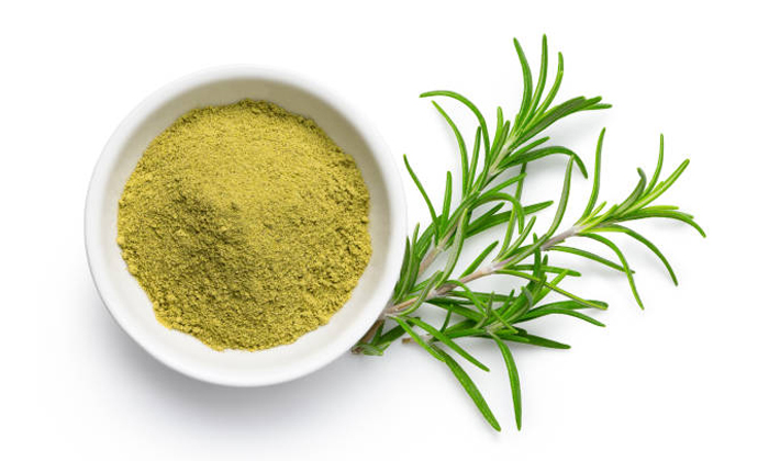  How To Use Rosemary Powder To Remove Dandruff Details, Rosemary Powder, Dandruff-TeluguStop.com