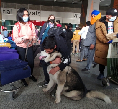  Indian Nationals Evacuated From Ukraine Bring Pet Dogs-TeluguStop.com