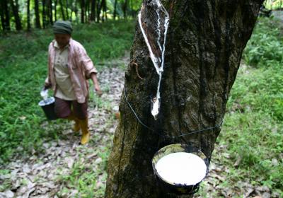  Kerala Rubber Estate Faces 'jumbo Trespass', Efforts To Drive Them Out On-TeluguStop.com