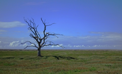  Managing Insurance Business Sustainable In The Changing Climate-TeluguStop.com