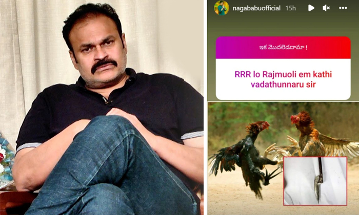  Nagababu Targeted Jagan For Using Kodikatti In Rrr Details, Nagababu, Tollywood-TeluguStop.com