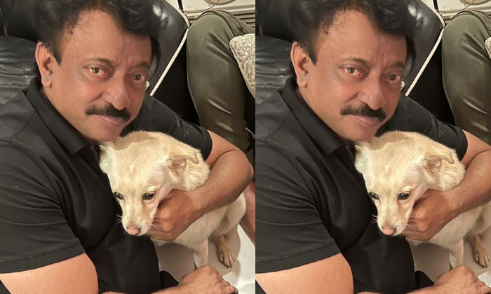  Ram Gopal Varma I Also Have Feelings Post Viral On Social Media Details, Ram Gop-TeluguStop.com