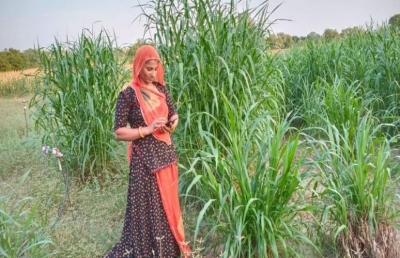  Rural Women In Rajasthan Pave The Way For Farming Innovations, Higher Income-TeluguStop.com