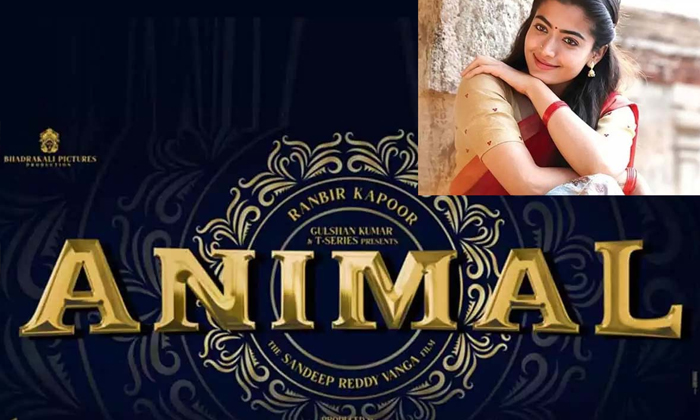  Rashmika Pushpa Movie Animal Movie Ranbeer Kapoor Sandeep Reddy Vanga Special So-TeluguStop.com