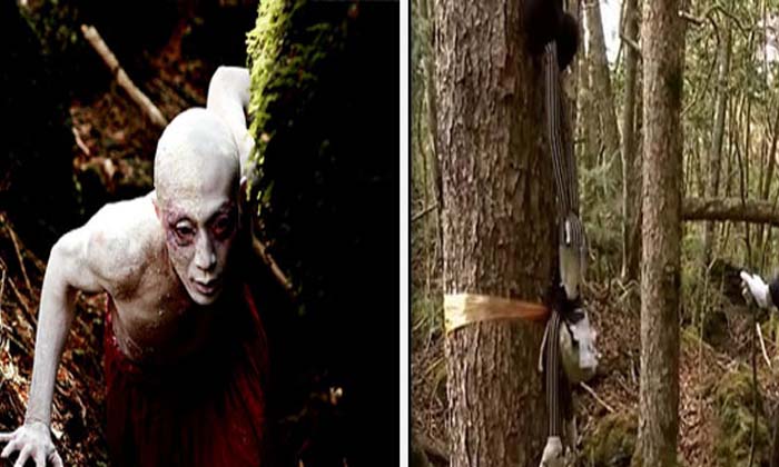 Mystery Of Aokigahara Suicide Forest Japan , Japan , Suicide Forest Japan , Ao Mystery Of Aokigahara Suicide Forest Japan , Japan , Suicide Forest Japan , Ao-TeluguStop.com
