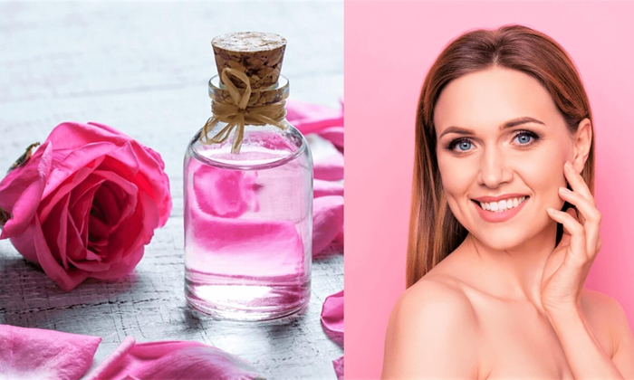 Telugu Dry Skin, Dandruff, Rose, Rose Benefits, Rose Skin, Skin Care Tips-Telugu