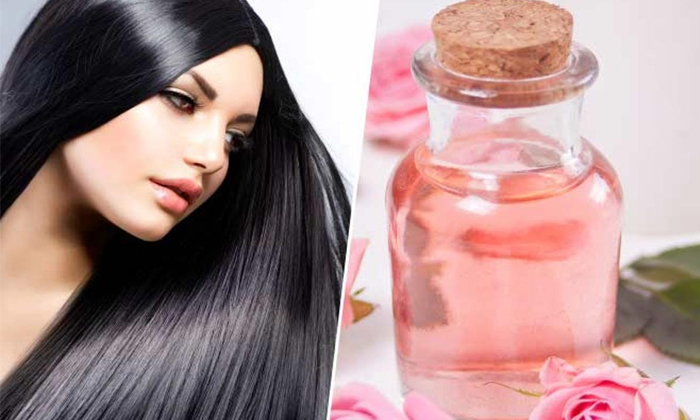 Telugu Dry Skin, Dandruff, Rose, Rose Benefits, Rose Skin, Skin Care Tips-Telugu