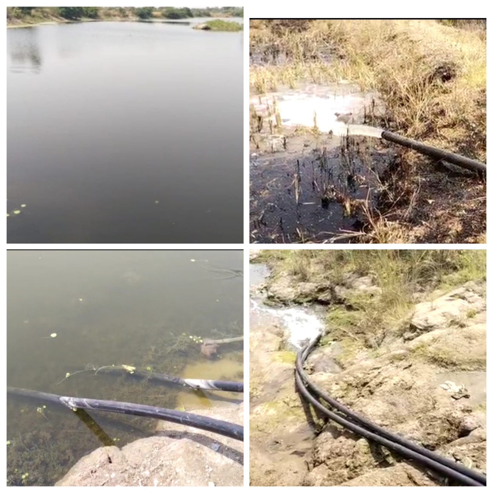  Pond Empty For Fish-TeluguStop.com