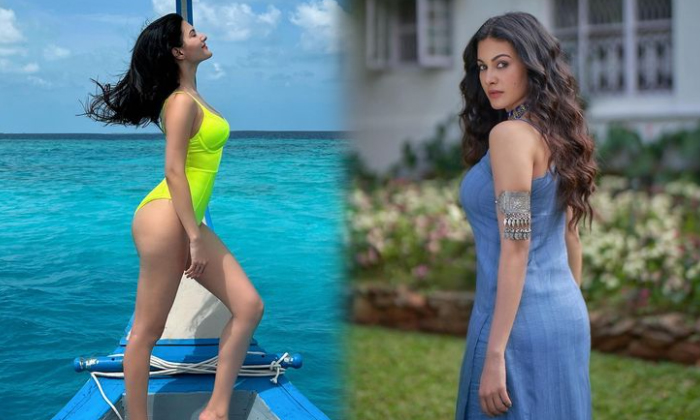 Actress Amyra Dastur Glamorous Images Shake Up The Social Media-telugu Actress Photos Actress Amyra Dastur Glamorous Ima High Resolution Photo