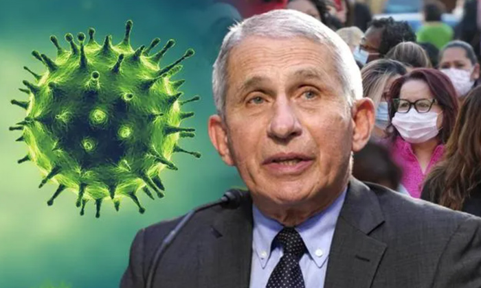 Telugu America, Anthony Fauci, Covid Vaccine, Covid, Pandemic-Telugu NRI