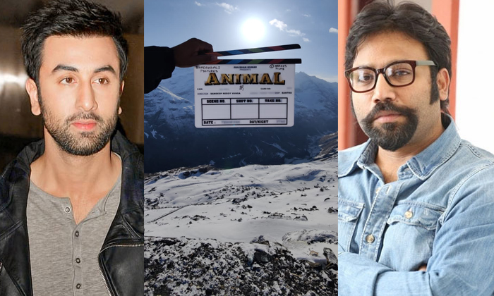  Ranbir Kapoor, Sandeep Reddy Vanga ‘animal’ Movie Regular Shoot Begi-TeluguStop.com