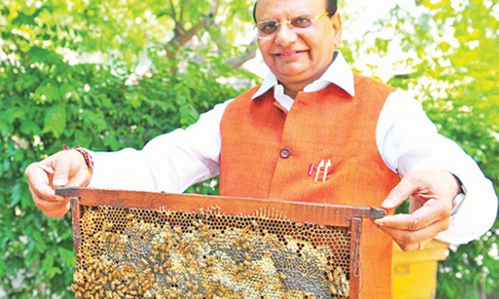  The Government Subsidizes Up To 90 Per Cent Of Beekeeping , National Bee Board A-TeluguStop.com
