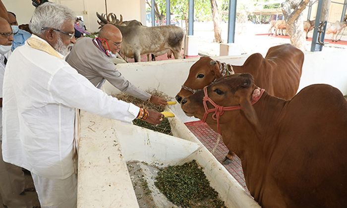  Tirupati Foundation Stone Laid For Construction Of Domestic Cow Ghee Manufacturi-TeluguStop.com