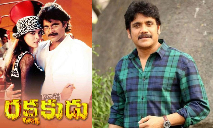  Unknown Facts About Nagarjuna Rakshakudu Movie Details, King Nagarjuna, Rakshaku-TeluguStop.com