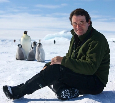  Alastair Fothergill Breaks Down The Idea Behind His Documentary, 'polar Bear'-TeluguStop.com