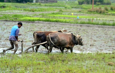  As Target Date Approaches, Doubling Of Farmers' Incomes Still A Distant Dream-TeluguStop.com