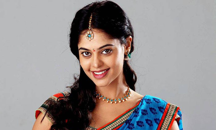 Bigg Boss Bindu Madhavi Love Life ,bigg Boss , Bindu Madhavi, Love , Biggboss Bigg Boss Bindu Madhavi Love Life ,bigg Boss , Bindu Madhavi, Love , Biggboss-TeluguStop.com