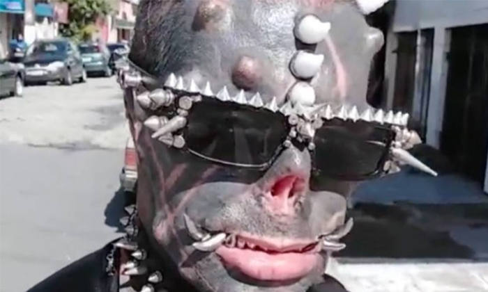 Brazil Man Michael Faro Bizarre Body Modification Viral Details, Brazil Man, Mic Brazil Man Michael Faro Bizarre Body Modification Viral Details, Brazil Man, Mic-TeluguStop.com