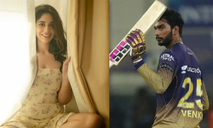 Telugu Cricketer, Kalavaramaye, Srkalyanan, Taxiwala, Timmarusu, Tollywood-Movie Telugu Cricketer, Kalavaramaye, Srkalyanan, Taxiwala, Timmarusu, Tollywood-Movie