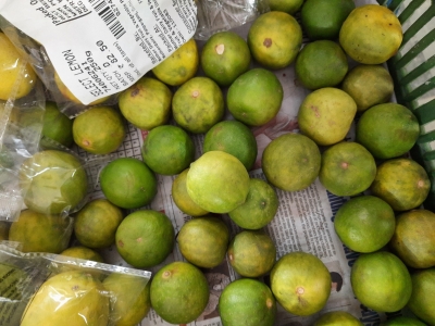  Guard Your Lemons, Thieves Steal 60kg In Up's Shahjahanpur-TeluguStop.com