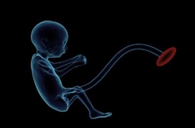  Inhaled Nanoparticles Can Enter Placenta, Affect Foetus: Study-TeluguStop.com