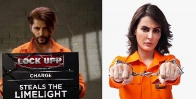  'lock Upp': Mandana In Spat With Kaaranvir-TeluguStop.com