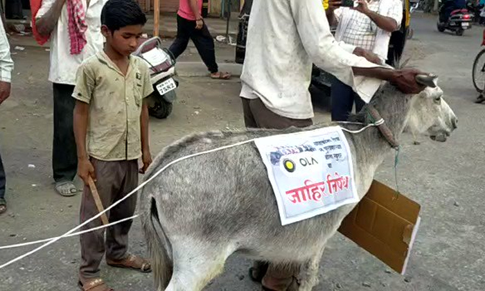 Telugu Maharashtra, Olacompany, Olaelectric, Gitte, Gitter Ola Bike, Strange-Lat Telugu Maharashtra, Olacompany, Olaelectric, Gitte, Gitter Ola Bike, Strange-Lat