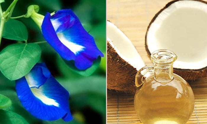 This Oil Helps To Get Rid Of Migraine Headache Naturally! Migraine Headache, Oil This Oil Helps To Get Rid Of Migraine Headache Naturally! Migraine Headache, Oil-TeluguStop.com