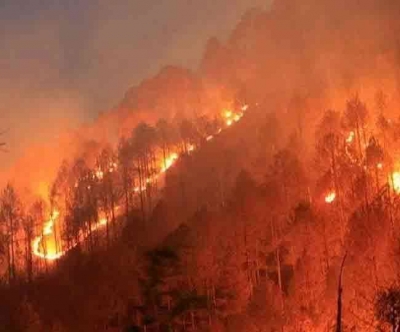  Over 30% Indian Districts Prone To Extreme Forest Fires: Ceew-TeluguStop.com
