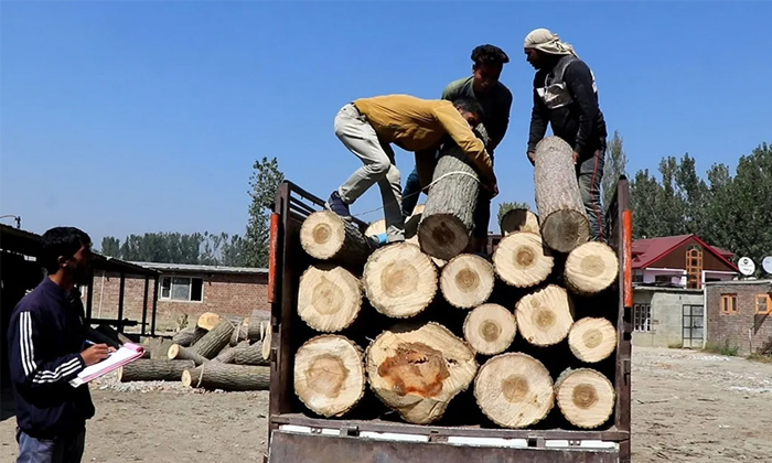Telugu Jammu Kashmir, Kashmir, Pencil, Pencil Kashmir, Poppler Tress, Pulwama, R