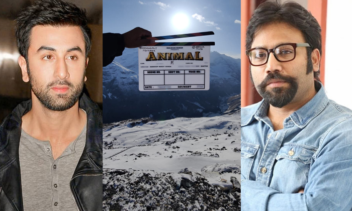  Ranbir Kapoor Sandeep Reddy Vanga Animal Movie Regular Shooting Started Details,-TeluguStop.com