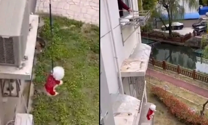  Shangai Man Hangs Down Pet Dog For Walking Viral Video Details, Dog Viral Lates-TeluguStop.com