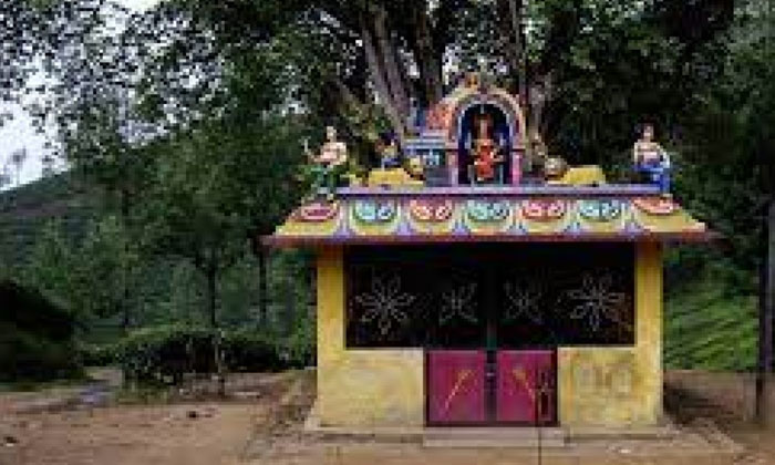  Siwan Bihar Snake Bites Who Ever Wish To Build A Temple , Siwan Bihar , Snake ,-TeluguStop.com