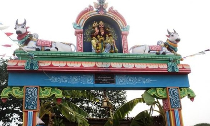  Mutton Biryani As Prasad In Chennai Sri Muniyandi Swami Temple , Mutton Biryani,-TeluguStop.com