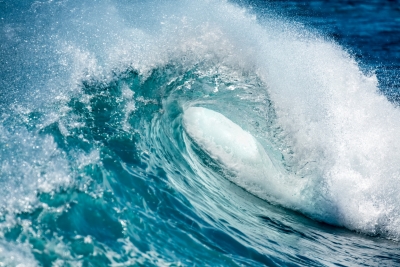  Us Joins 90-odd Nation Coalition To Protect 30% Earth-TeluguStop.com