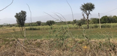  Women Of Rural Rajasthan Beat The Odds To Emerge Successful Farmers And Livestoc-TeluguStop.com