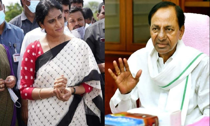 Telugu Chandra Babu, Cm Kcr, Nikhil, Mamata Banerjee, Ramnath Kovind, Somu Veerr