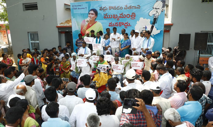  Ys Sharmila Comments On Kcr In Khammam Padayatra ,ys Sharmila , Kcr , Paddy , Ys-TeluguStop.com