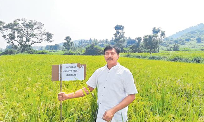  Zero Budget Natural Farming By Chittoor Farmer Yanamala Jagadishwar Reddy Detail-TeluguStop.com